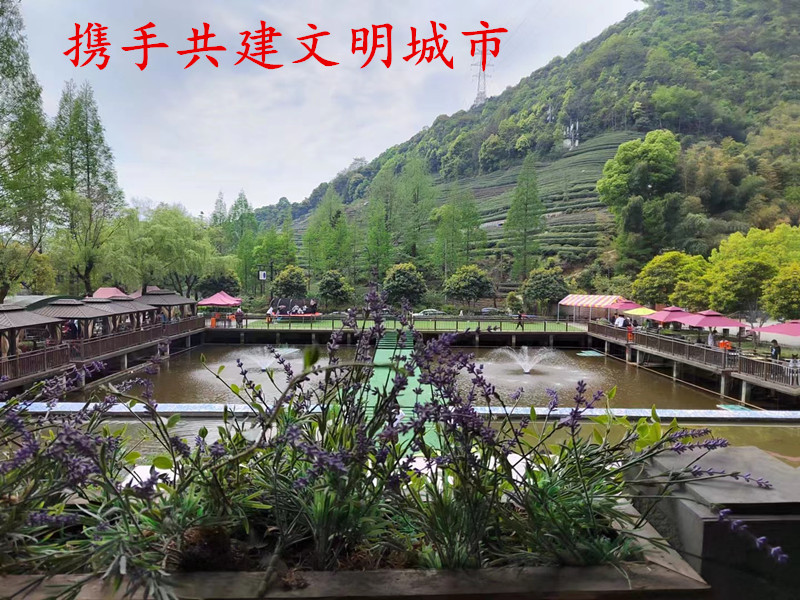 1652361690926447.jpg 些_副本.jpg