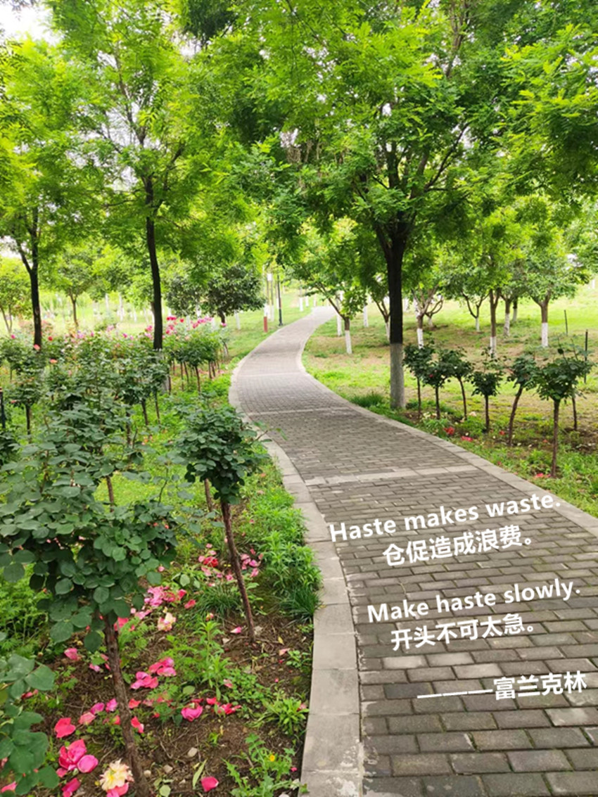 1653375679996121.jpg haste_副本.jpg