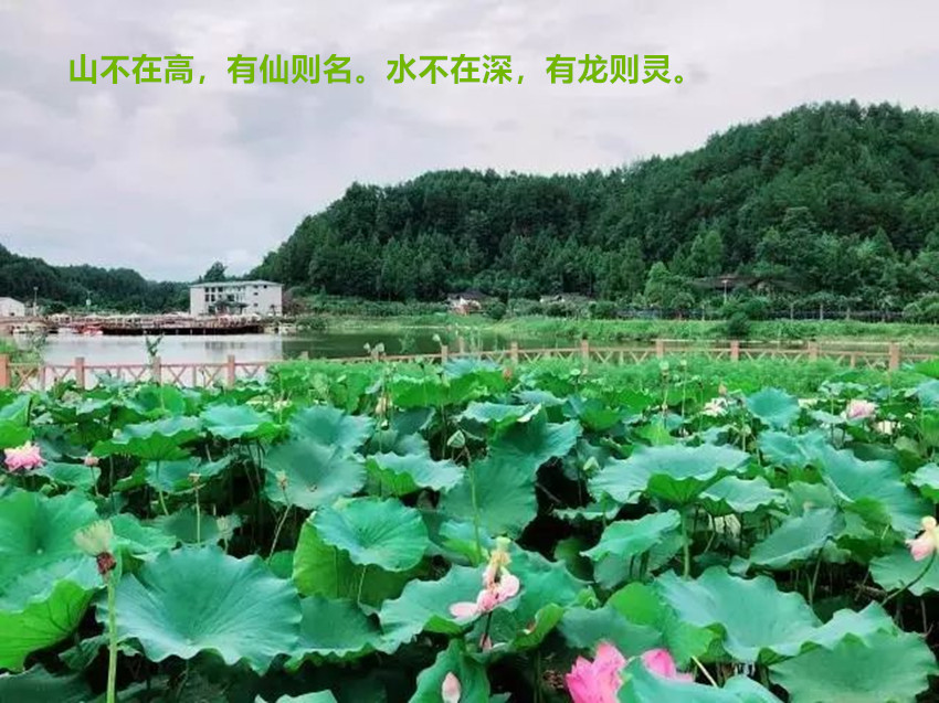1653706081106710.jpg 山水.jpg