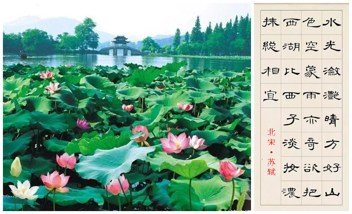 1664536112150897.jpg 2副本.jpg
