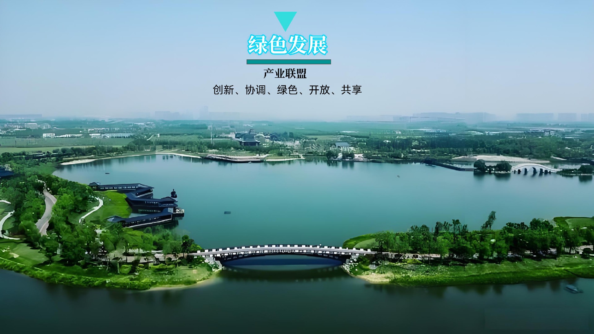 1742447146191311.jpg 绿色.jpg